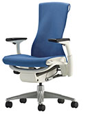 Herman Miller Embody Chair